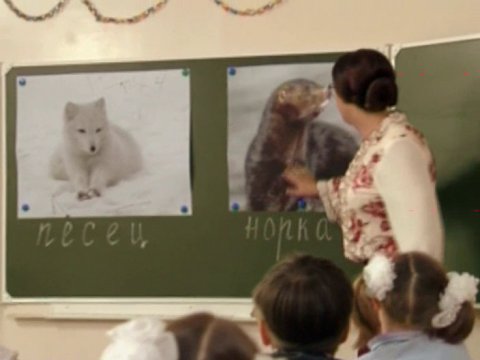 Наша Russia: Снежана Денисовна — Песец и норка