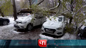 ЧП. Выпуск от 27.04.2026