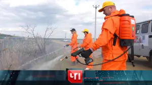 ЧП. Выпуск от 30.04.2026