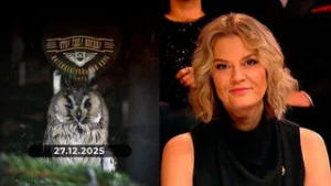 Что? Где? Когда? Выпуск от 27.12.2025