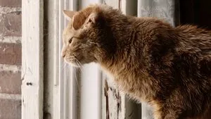 Это мы 2 сезон 12 серия