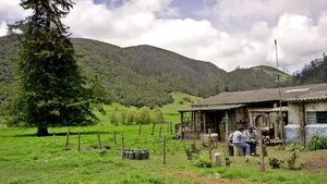 Нарко 2 сезон 9 серия