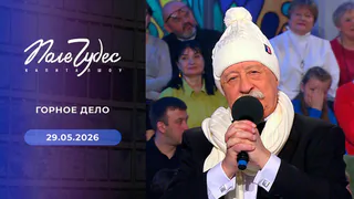 Поле чудес. Выпуск от 29.05.2026