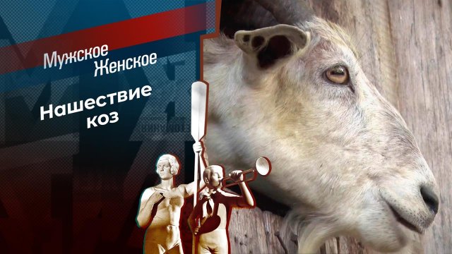 Изгой и козы. Мужское / Женское. Выпуск от 20.10.2023