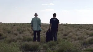 Во все тяжкие 2 сезон 3 серия