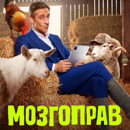 Мозгоправ постер