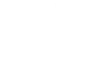 Логотип Одни дома